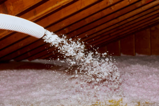Best Professional Insulation Contractor  in Memphis, MO