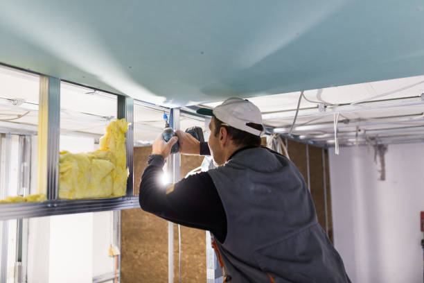 Best Insulation Removal Services  in Memphis, MO