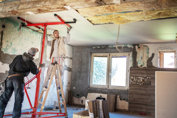 Best Attic Insulation Installation  in Memphis, MO