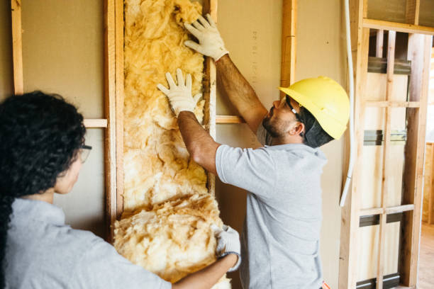 Insulation Inspection Services in Memphis, MO
