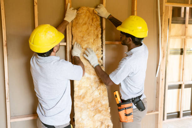 Best Attic Insulation Installation  in Memphis, MO