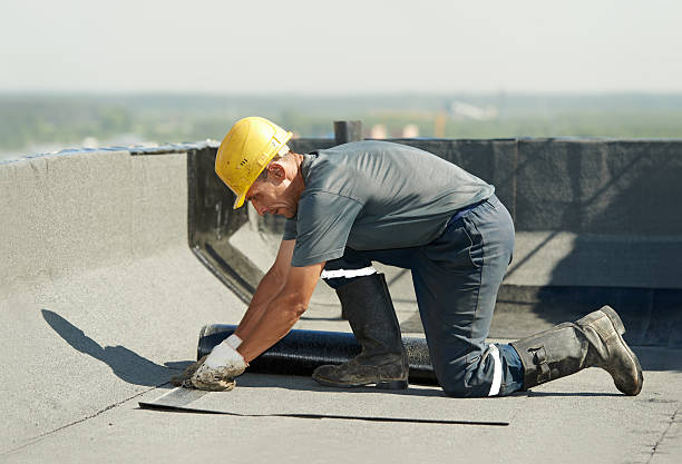 Best Blown-in Insulation  in Memphis, MO