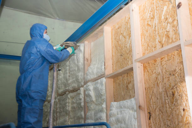 Best Home Insulation Services  in Memphis, MO