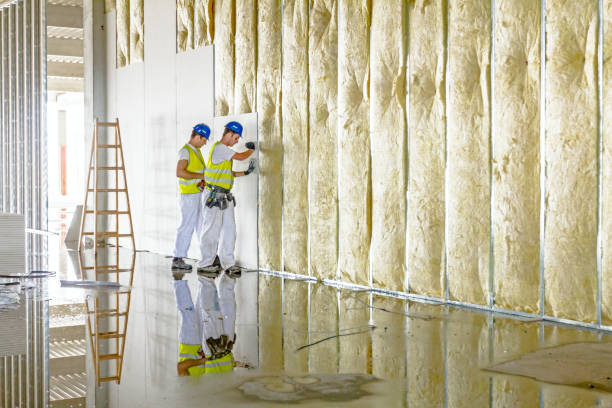 Best Home Insulation Services  in Memphis, MO